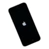 Apple iPhone SE 32GB schwarz Smartphone 12MP B-Ware